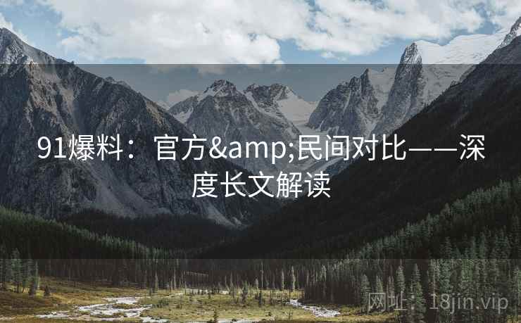 91爆料：官方&民间对比——深度长文解读
